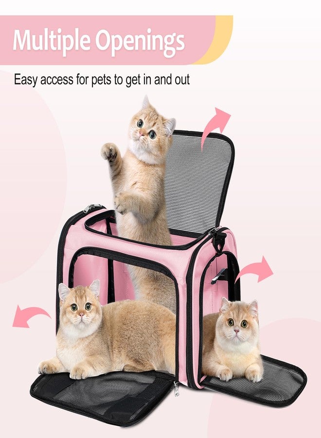 Discala Cat Dog Carrier Up to 15 Lbs TSA Airline Approved Pet Carrier for Small Medium Cats Puppies Dog Carriers for Small Dogs Collapsible Soft Sided Cat Travel Carrier - Pink 15.7"x10.2"x10.2" - Image 4